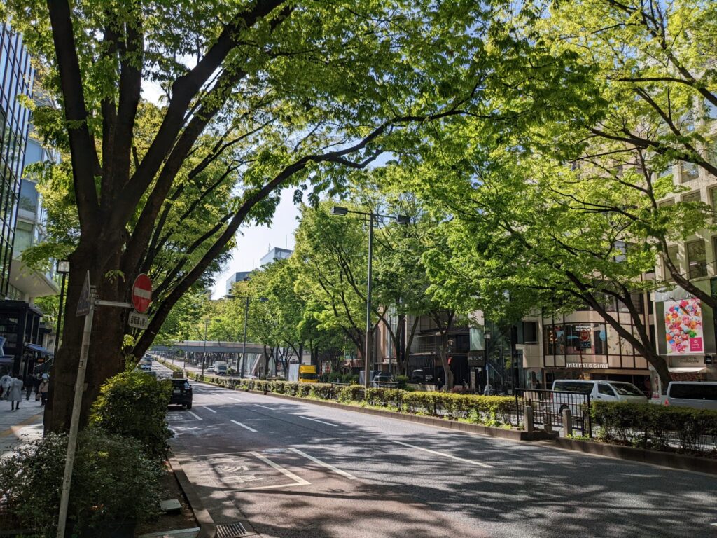 omotesando